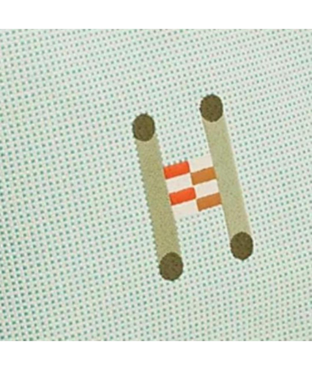 HERMES Салатовая тканевая косметичка, фото 2