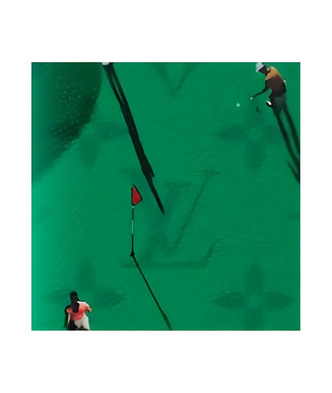 LOUIS VUITTON Зеленый кожаный кошелек, фото 5