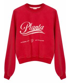 PLANTA ROSA Худи/толстовка