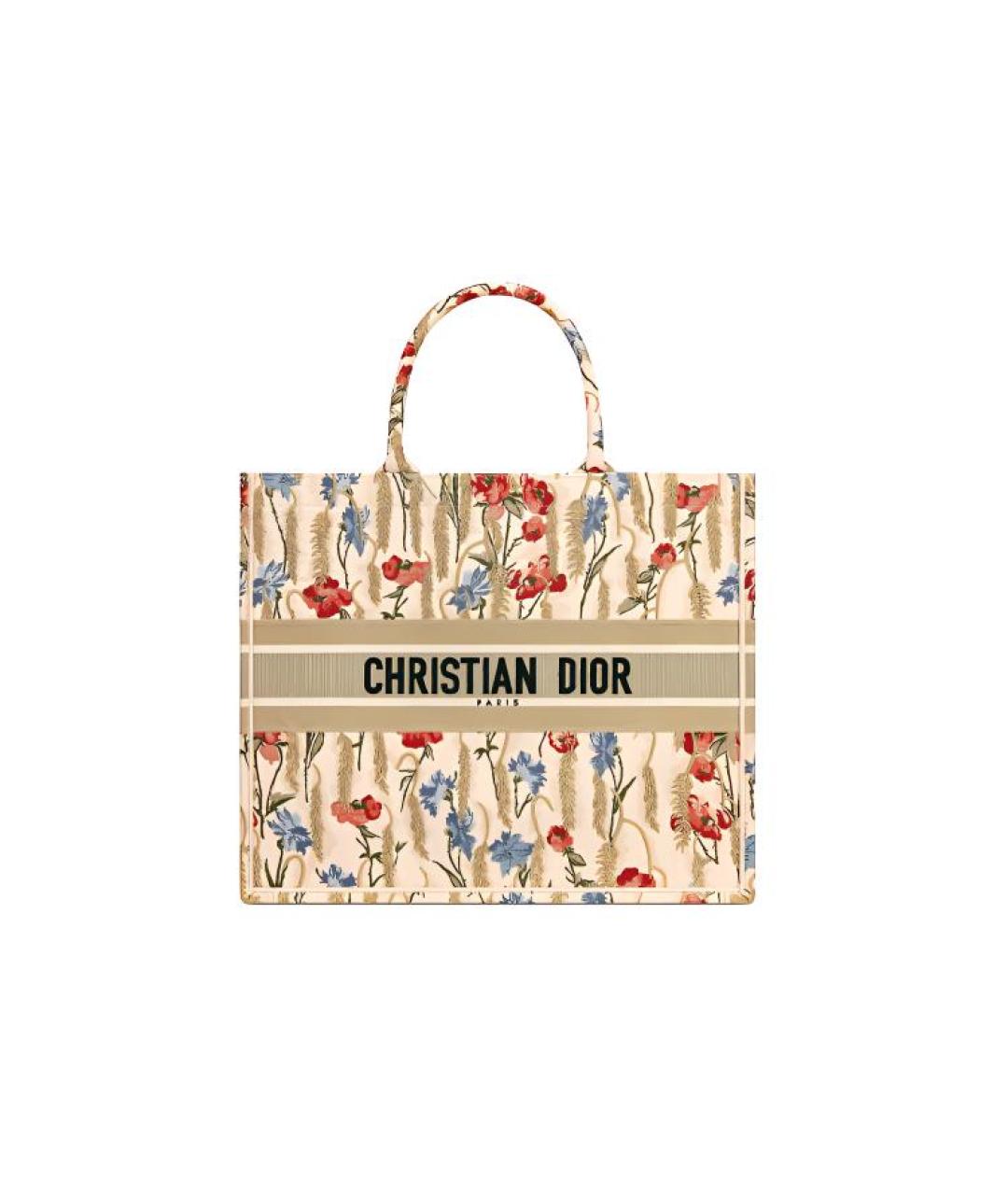 CHRISTIAN DIOR Бежевая сумка через плечо, фото 1