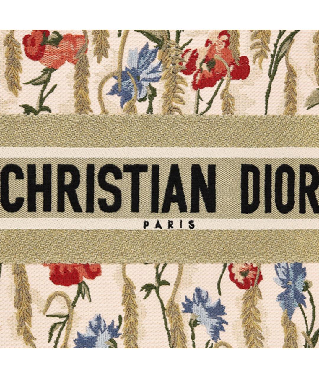 CHRISTIAN DIOR Бежевая сумка через плечо, фото 4