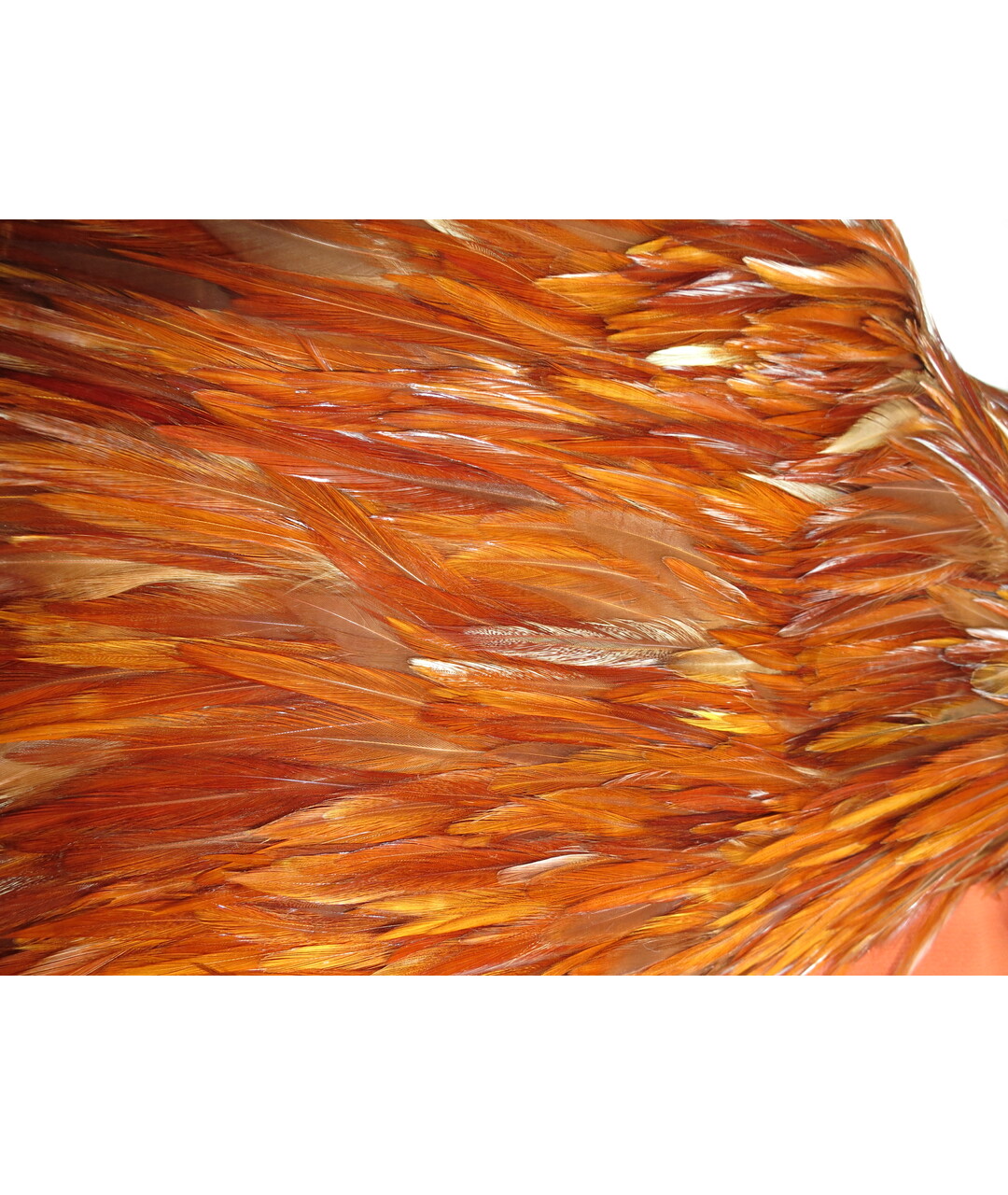 IRFE Оранжевый меховой жилет, фото 7