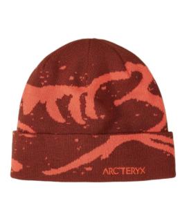 ARCTERYX Шапка