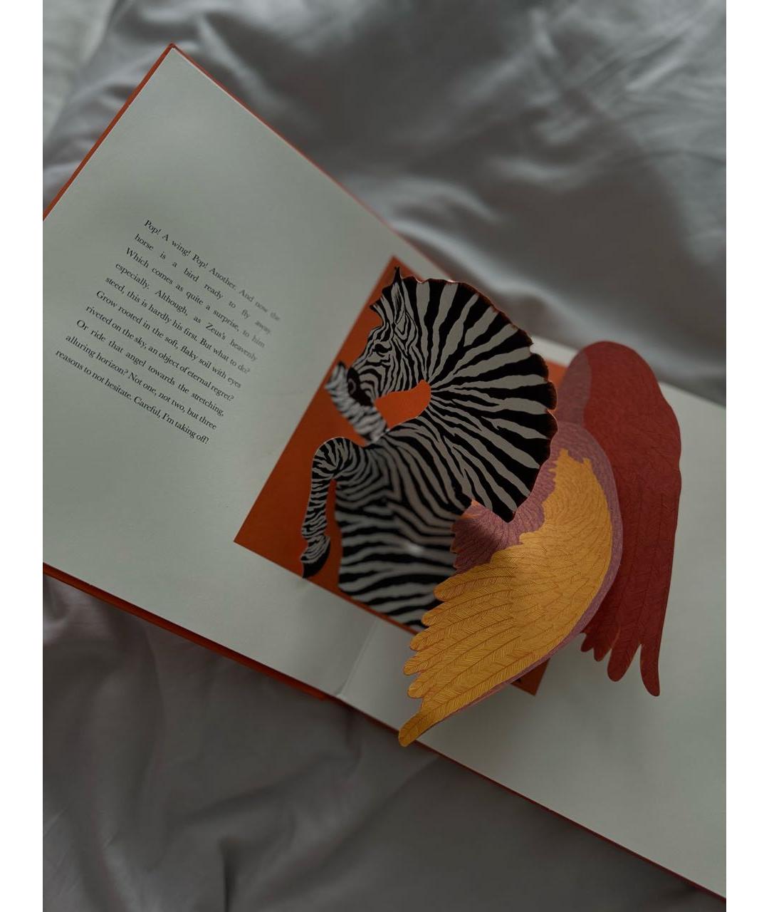 HERMES Книга, фото 4