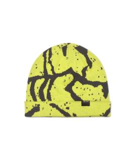 ARCTERYX Шапка