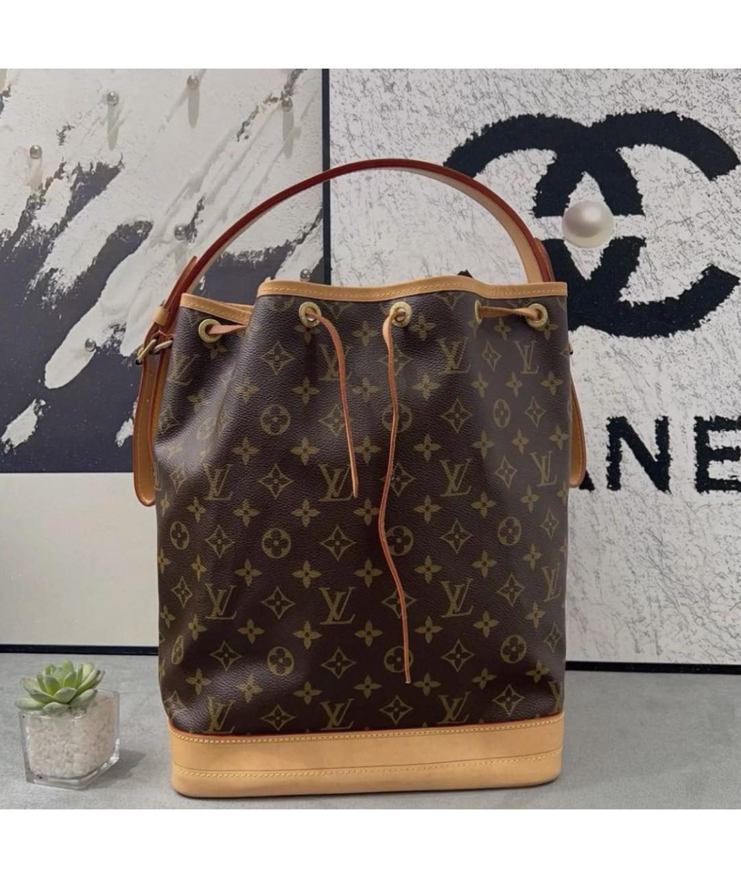 LOUIS VUITTON Коричневая сумка тоут, фото 2