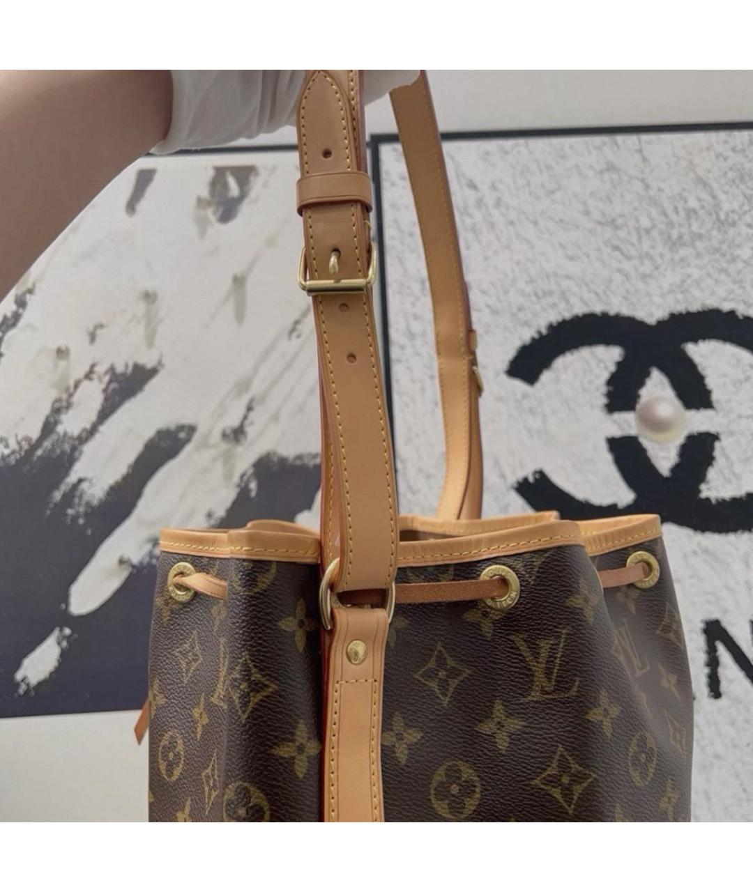 LOUIS VUITTON Коричневая сумка тоут, фото 3