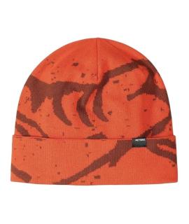 ARCTERYX Шапка