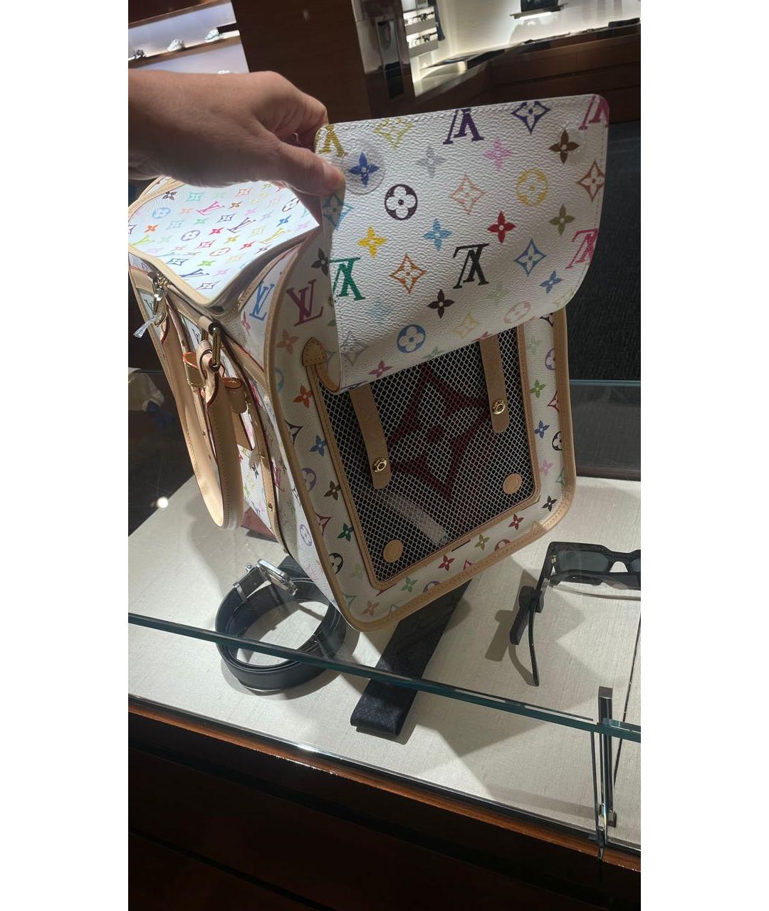 LOUIS VUITTON Мульти кожаная дорожная/спортивная сумка, фото 3