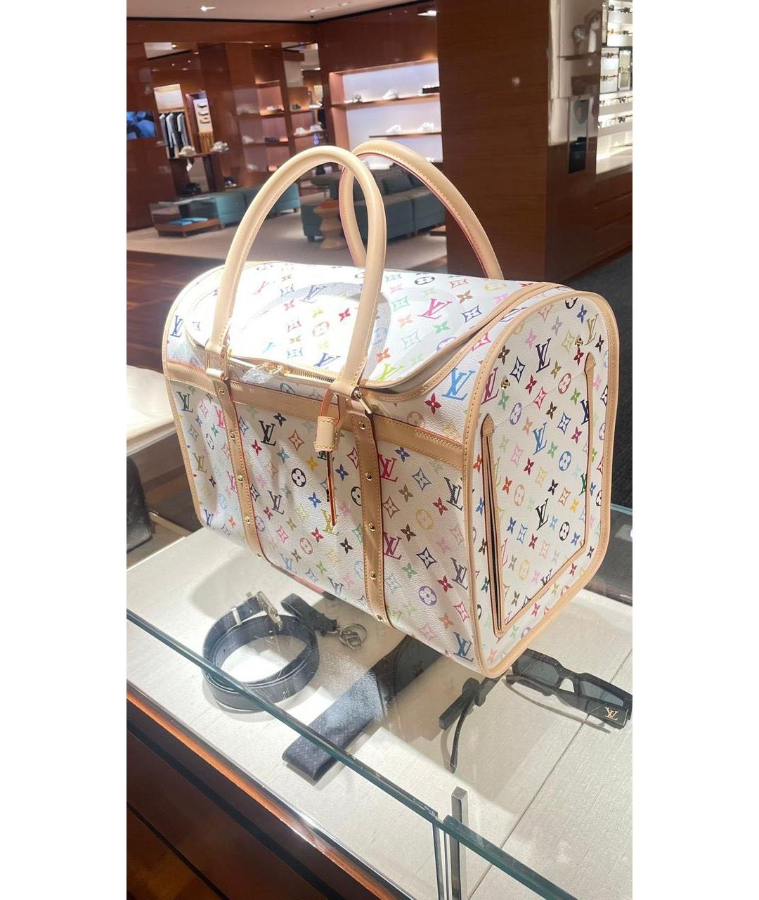 LOUIS VUITTON Мульти кожаная дорожная/спортивная сумка, фото 2