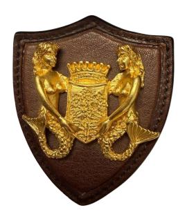 MIU MIU Булавка / брошь