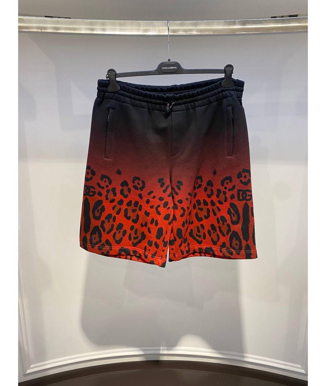 DOLCE&GABBANA Мульти хлопковые шорты, фото 2