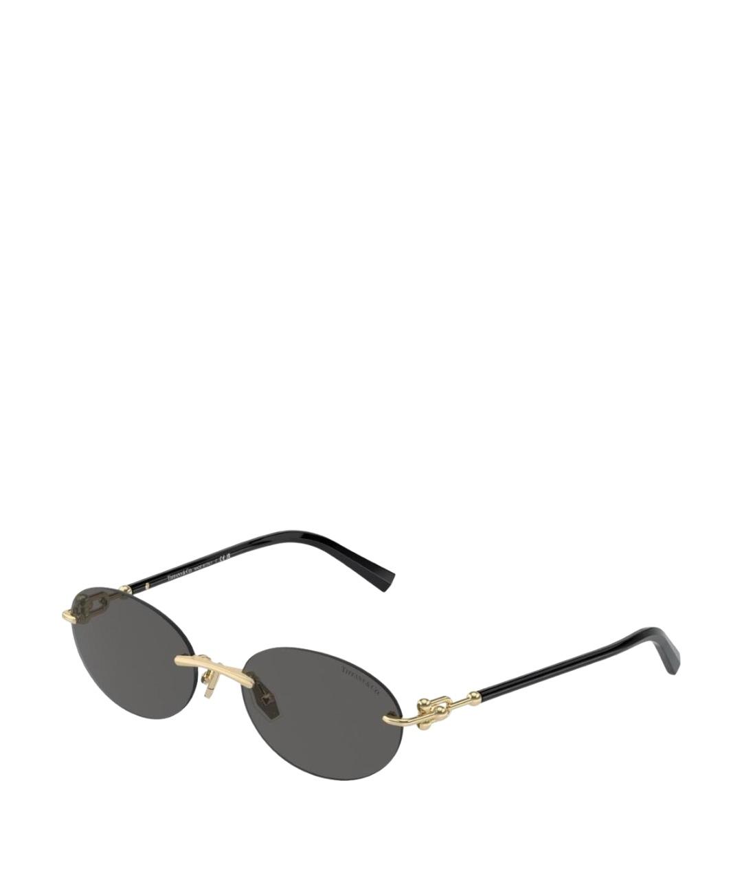 TIFFANY&CO Черные пластиковые солнцезащитные очки, фото 1