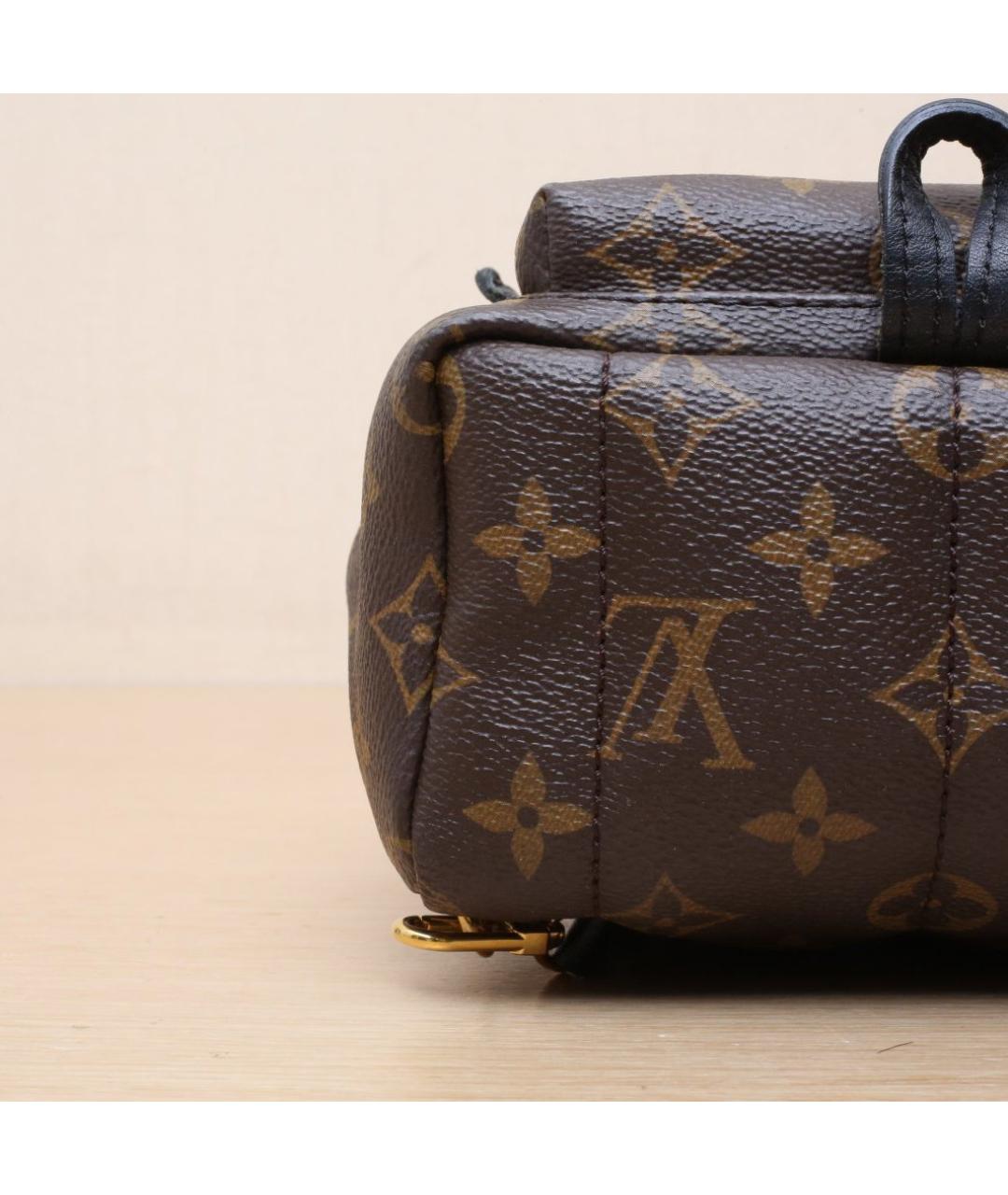 LOUIS VUITTON Коричневый рюкзак, фото 9