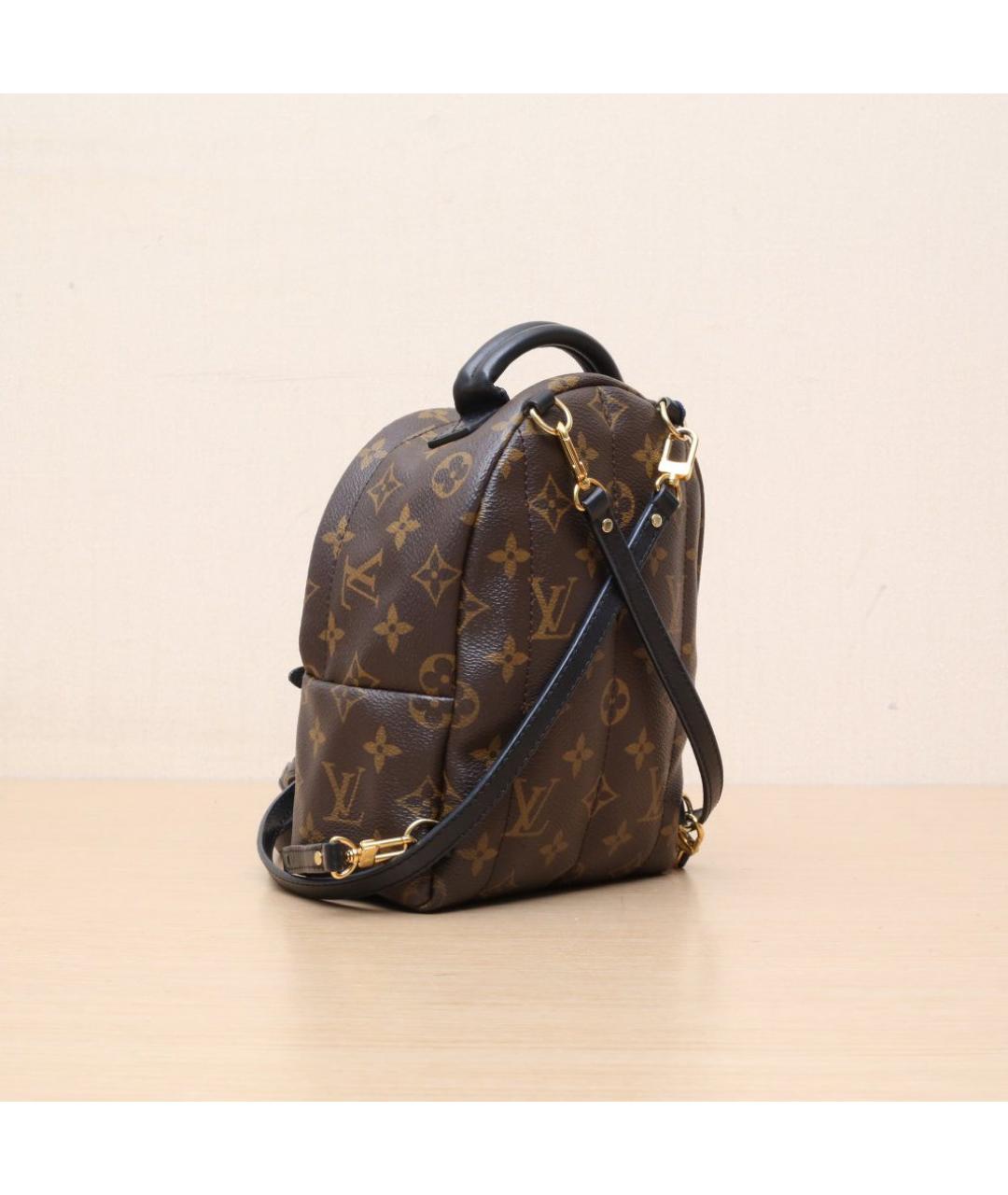 LOUIS VUITTON Коричневый рюкзак, фото 6