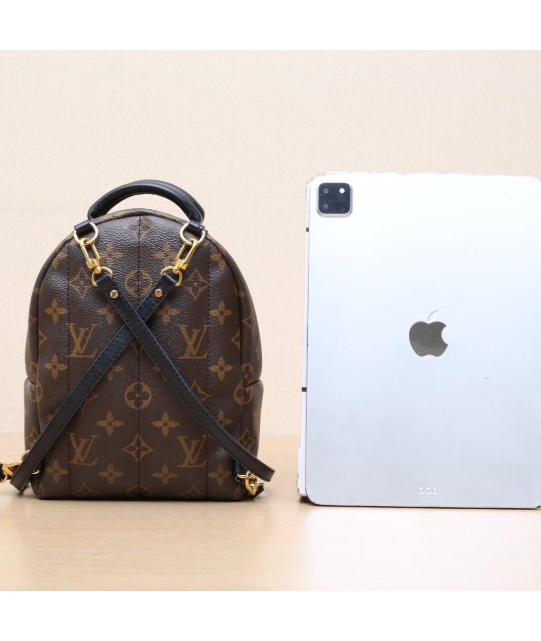 LOUIS VUITTON Коричневый рюкзак, фото 7