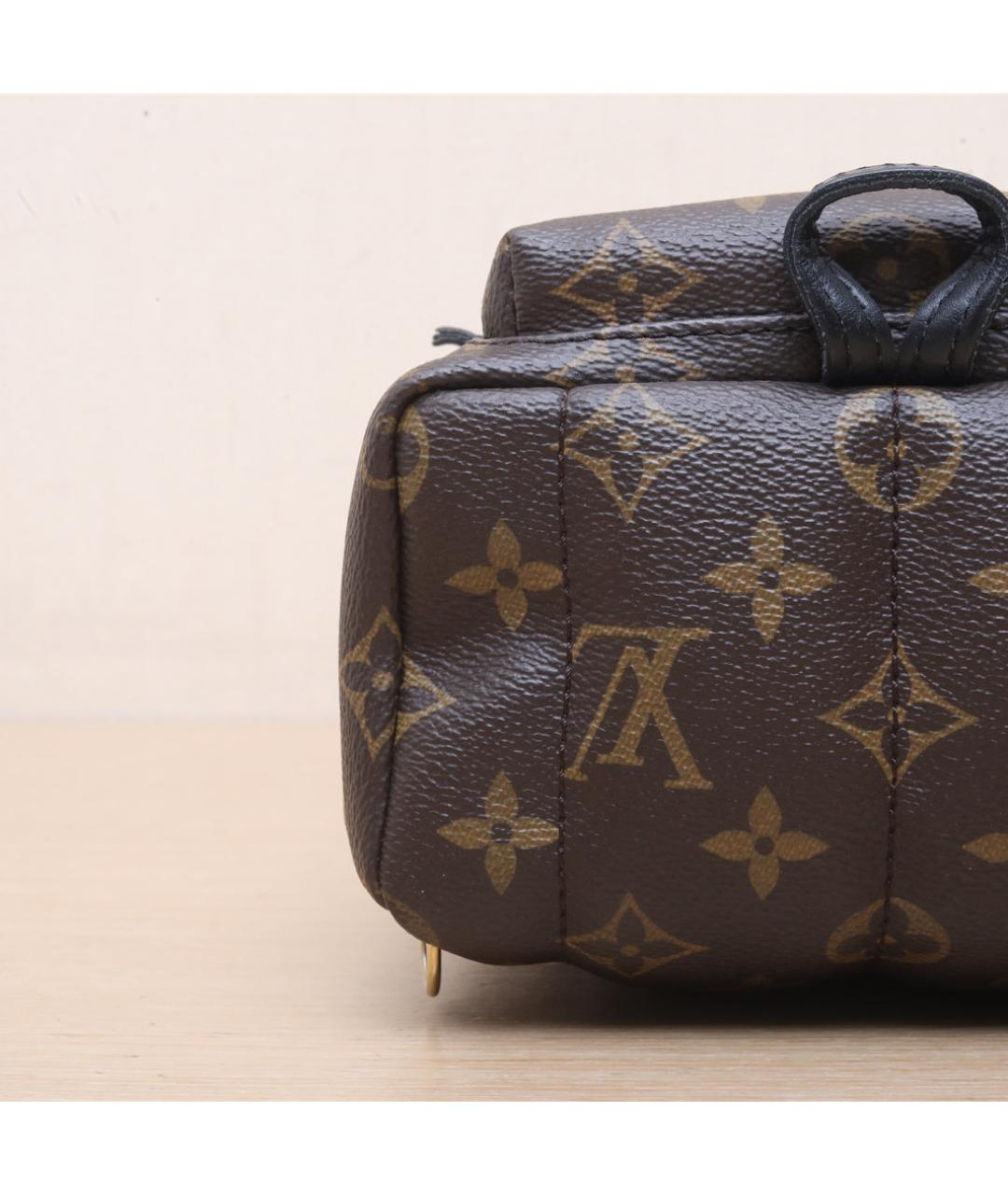 LOUIS VUITTON Коричневый рюкзак, фото 9