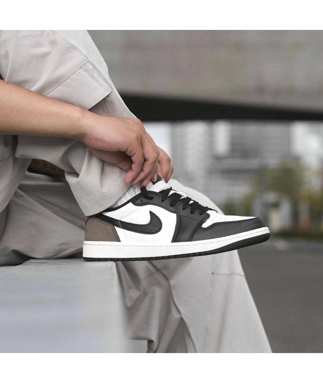 JORDAN Мульти кожаные низкие кроссовки / кеды, фото 2