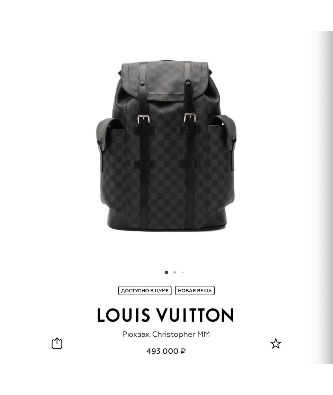 LOUIS VUITTON Серый кожаный рюкзак, фото 4