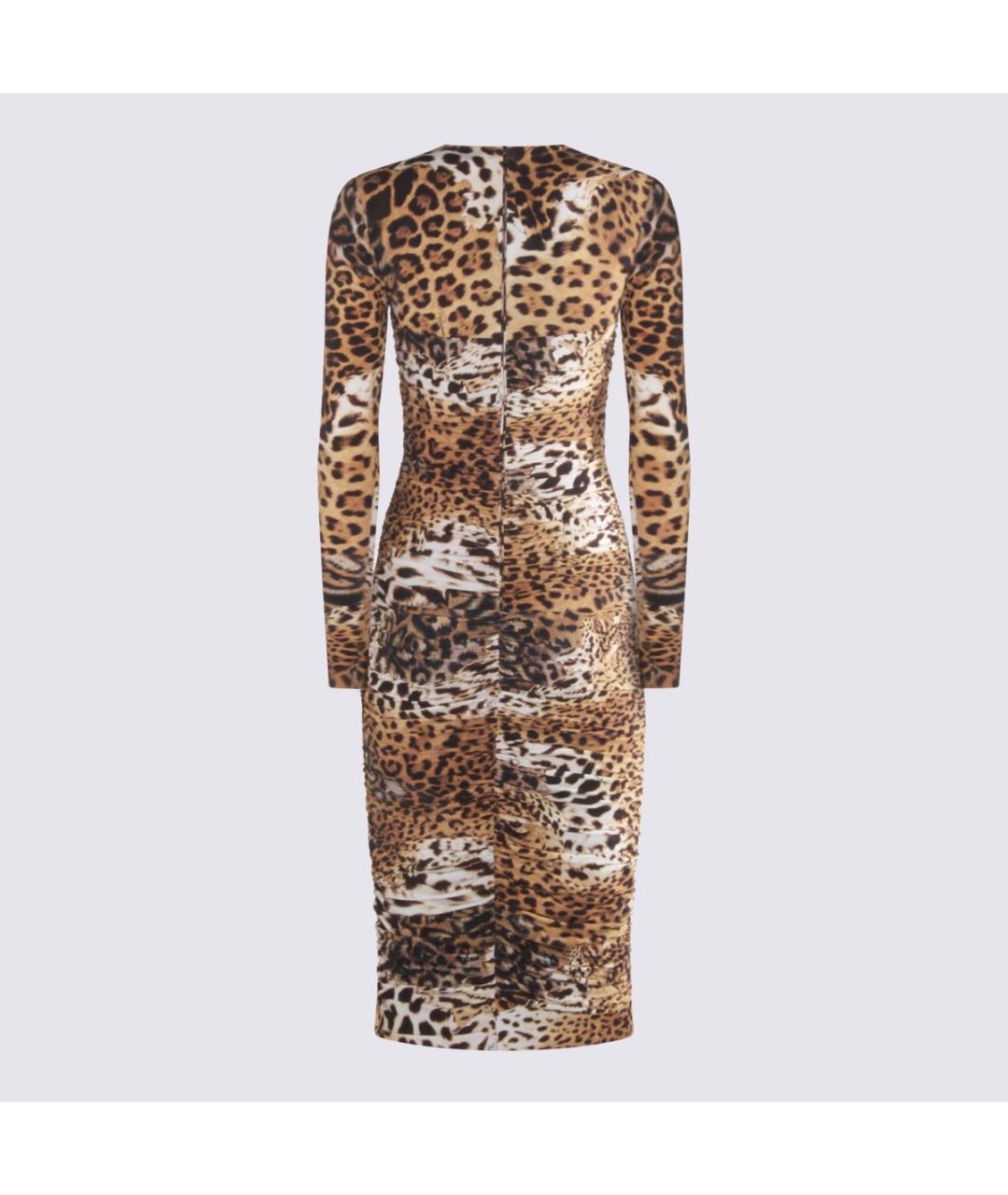 ROBERTO CAVALLI Мульти повседневное платье, фото 2