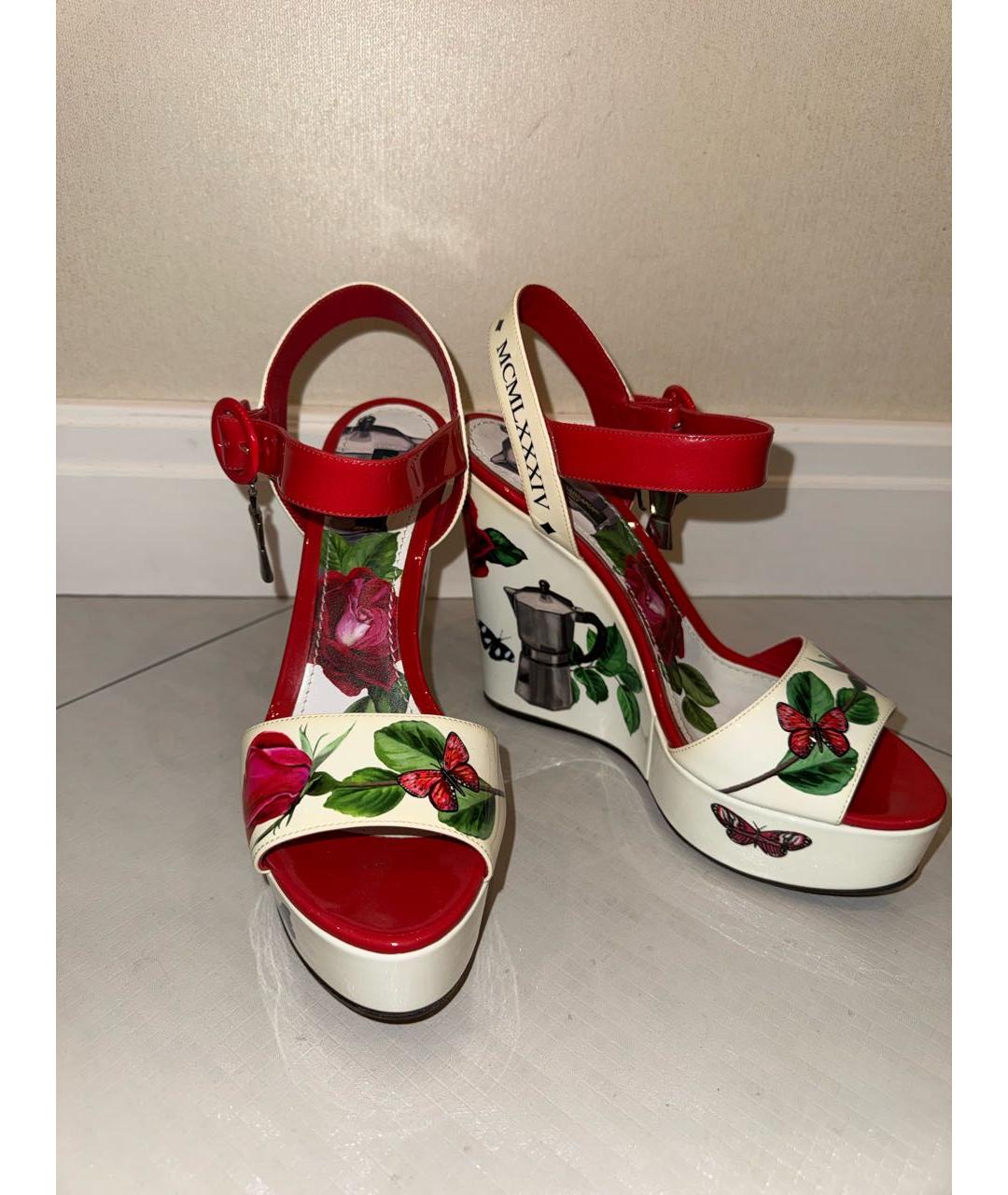 DOLCE&GABBANA Мульти кожаные босоножки, фото 5