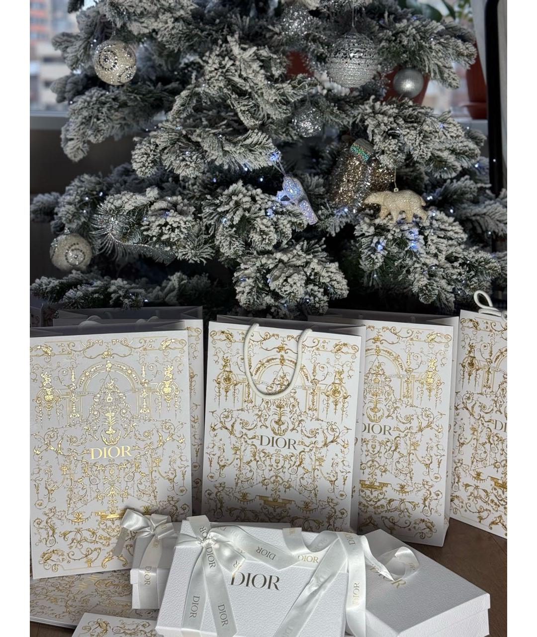 CHRISTIAN DIOR Книга, фото 2