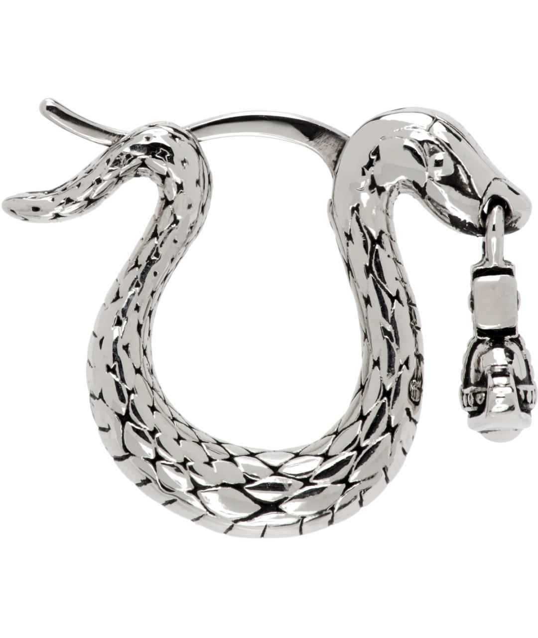 VIVIENNE WESTWOOD Серебряные латунные серьги, фото 1