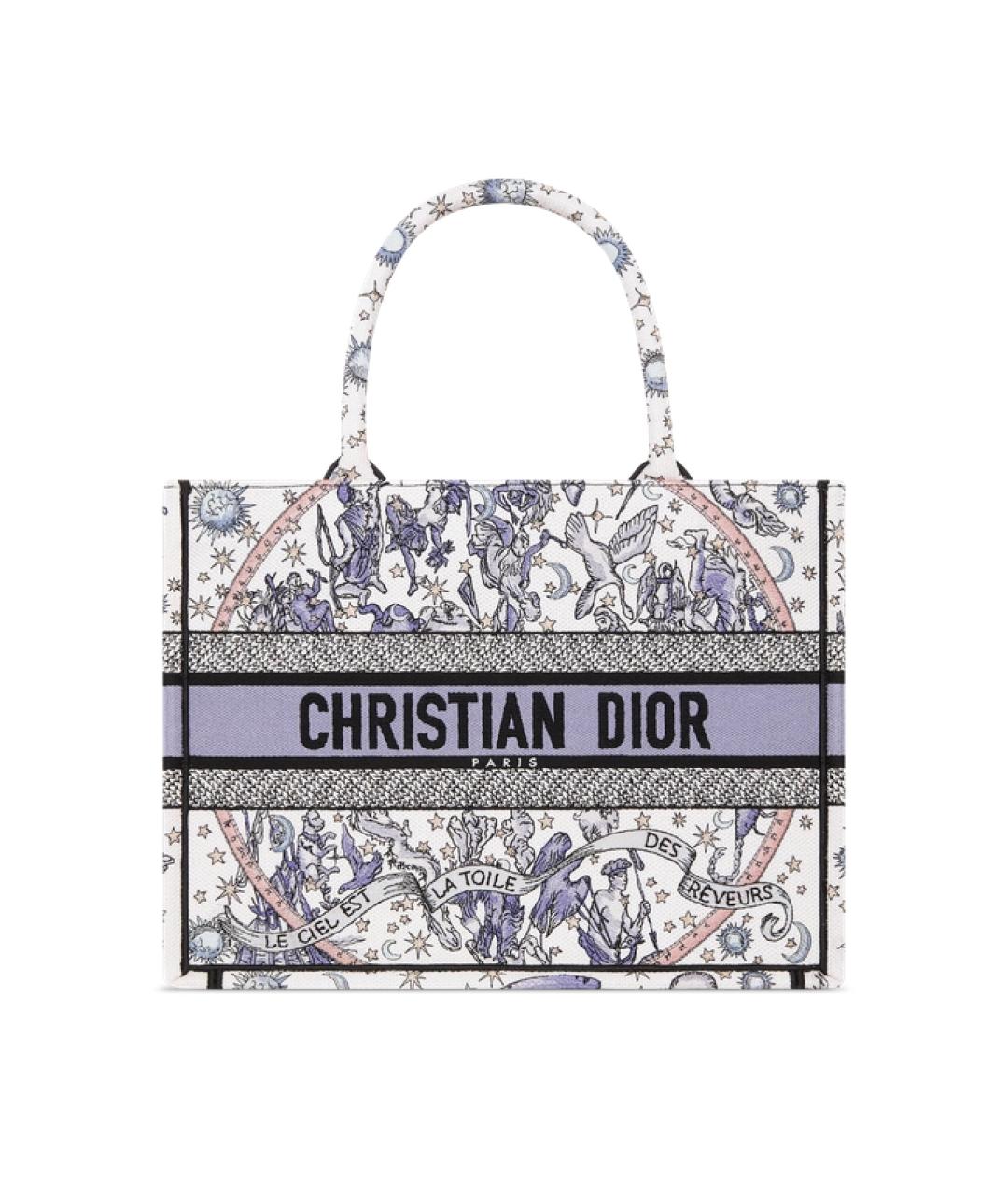 CHRISTIAN DIOR Мульти тканевая сумка тоут, фото 1