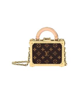 LOUIS VUITTON Обложка/футляр