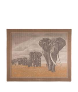 STEFANO RICCI Покрывало и плед