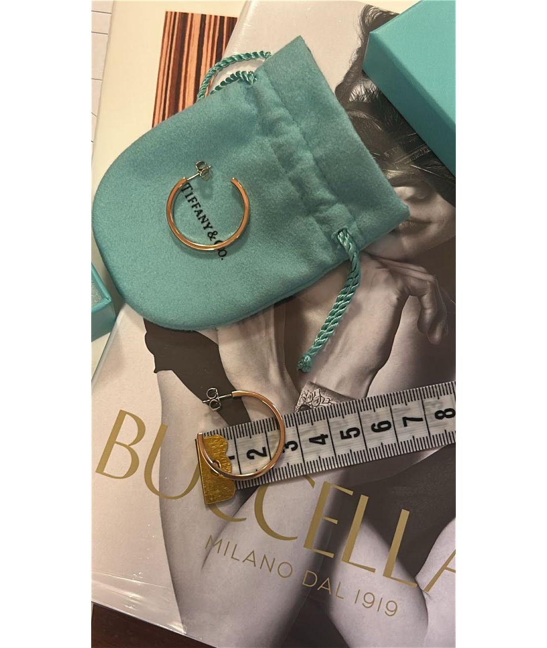 TIFFANY&CO Серебряные серебряные серьги, фото 5