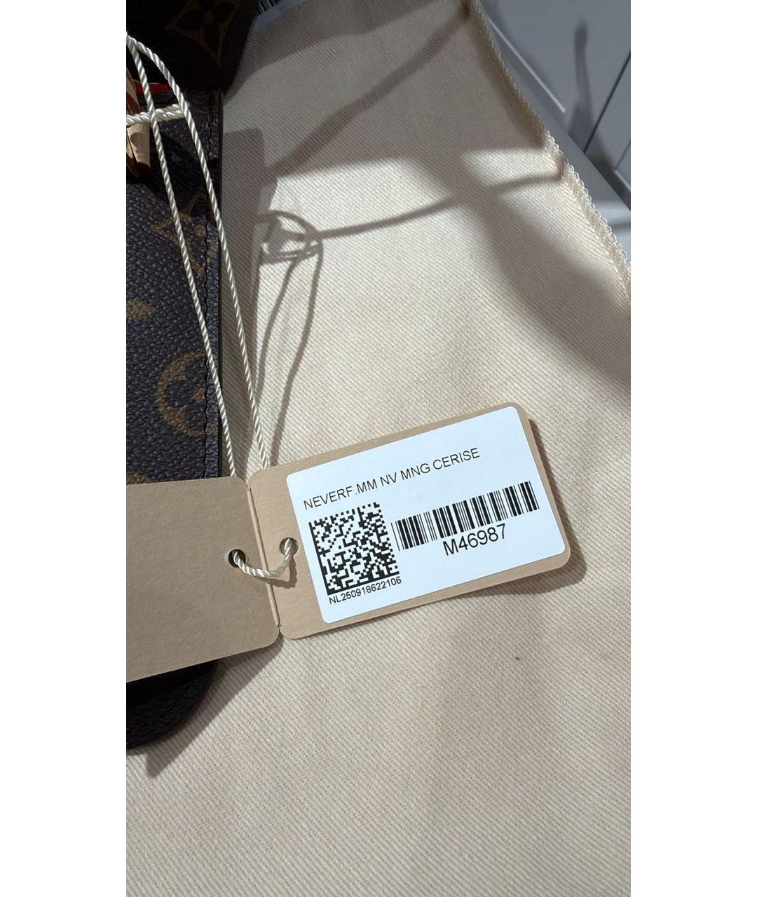 LOUIS VUITTON Коричневая сумка тоут, фото 2