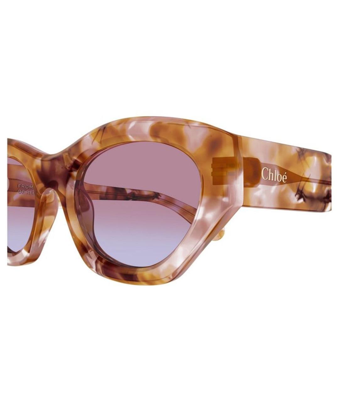 CHLOE Мульти деревянные солнцезащитные очки, фото 3
