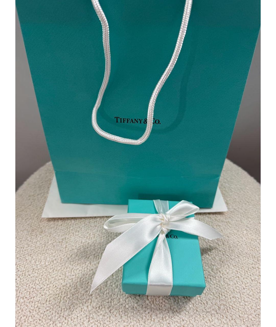 TIFFANY&CO Серебряные серебряные серьги, фото 6