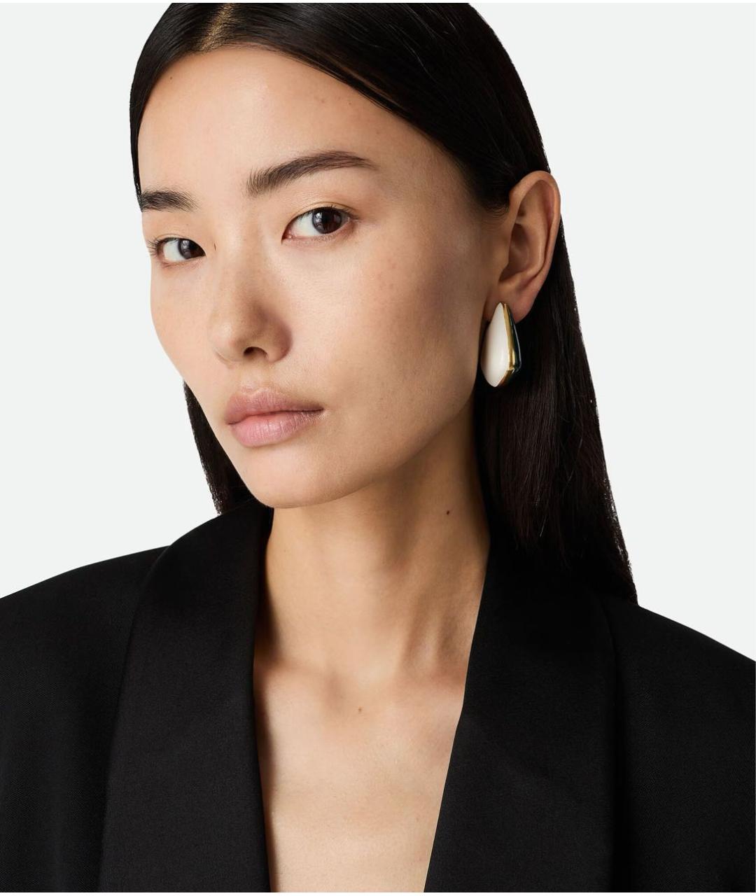 BOTTEGA VENETA Мульти серебряные серьги, фото 2