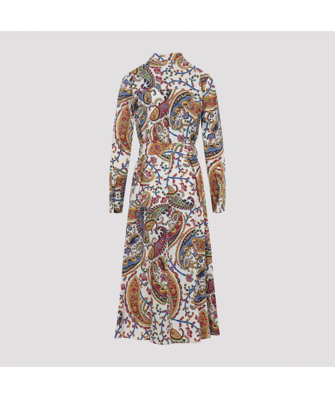 ETRO Мульти хлопковое повседневное платье, фото 2