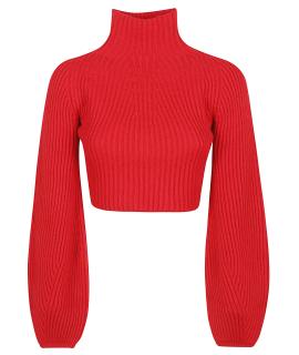 SPORTMAX Джемпер / свитер