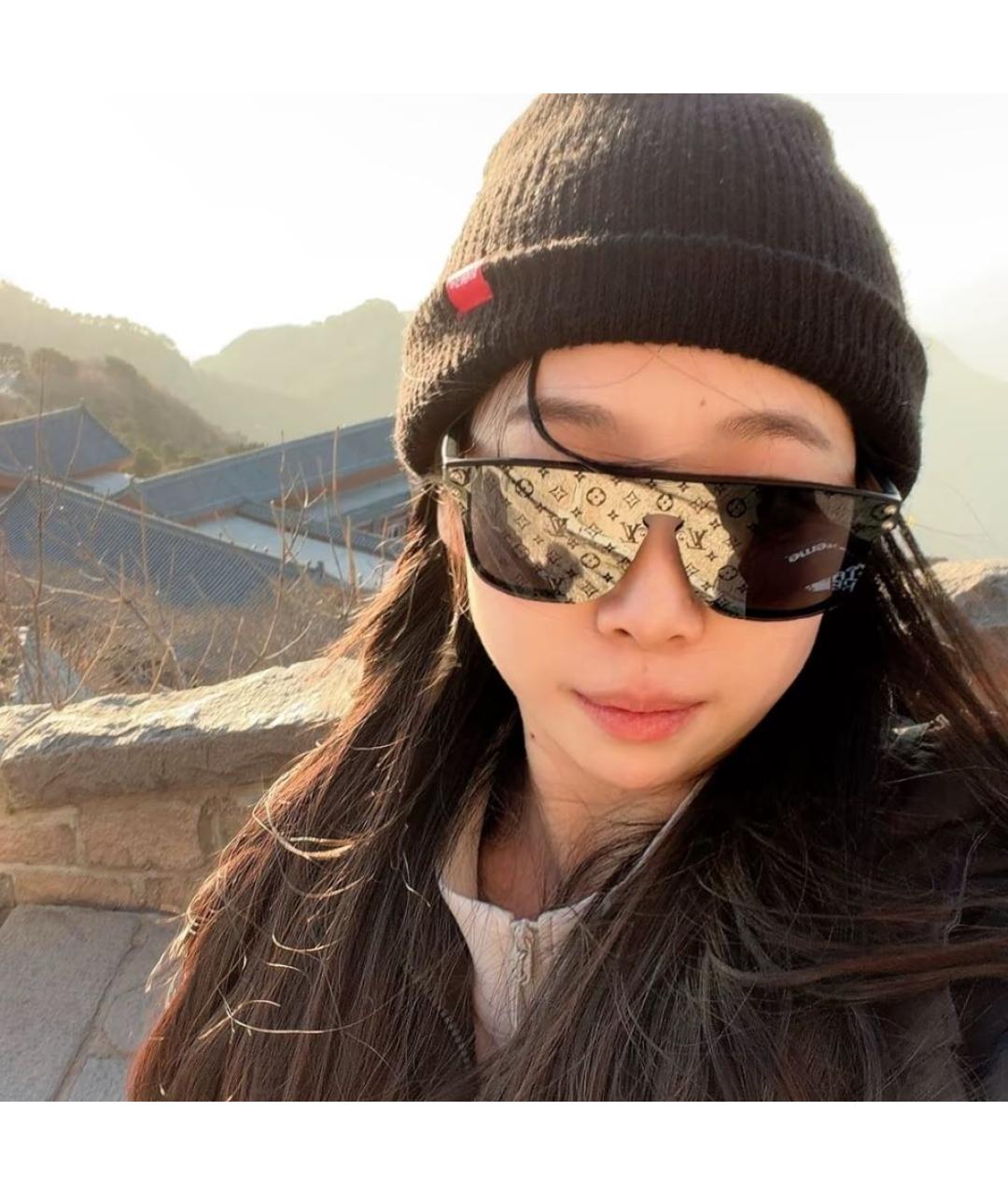 LOUIS VUITTON Коричневые пластиковые солнцезащитные очки, фото 4