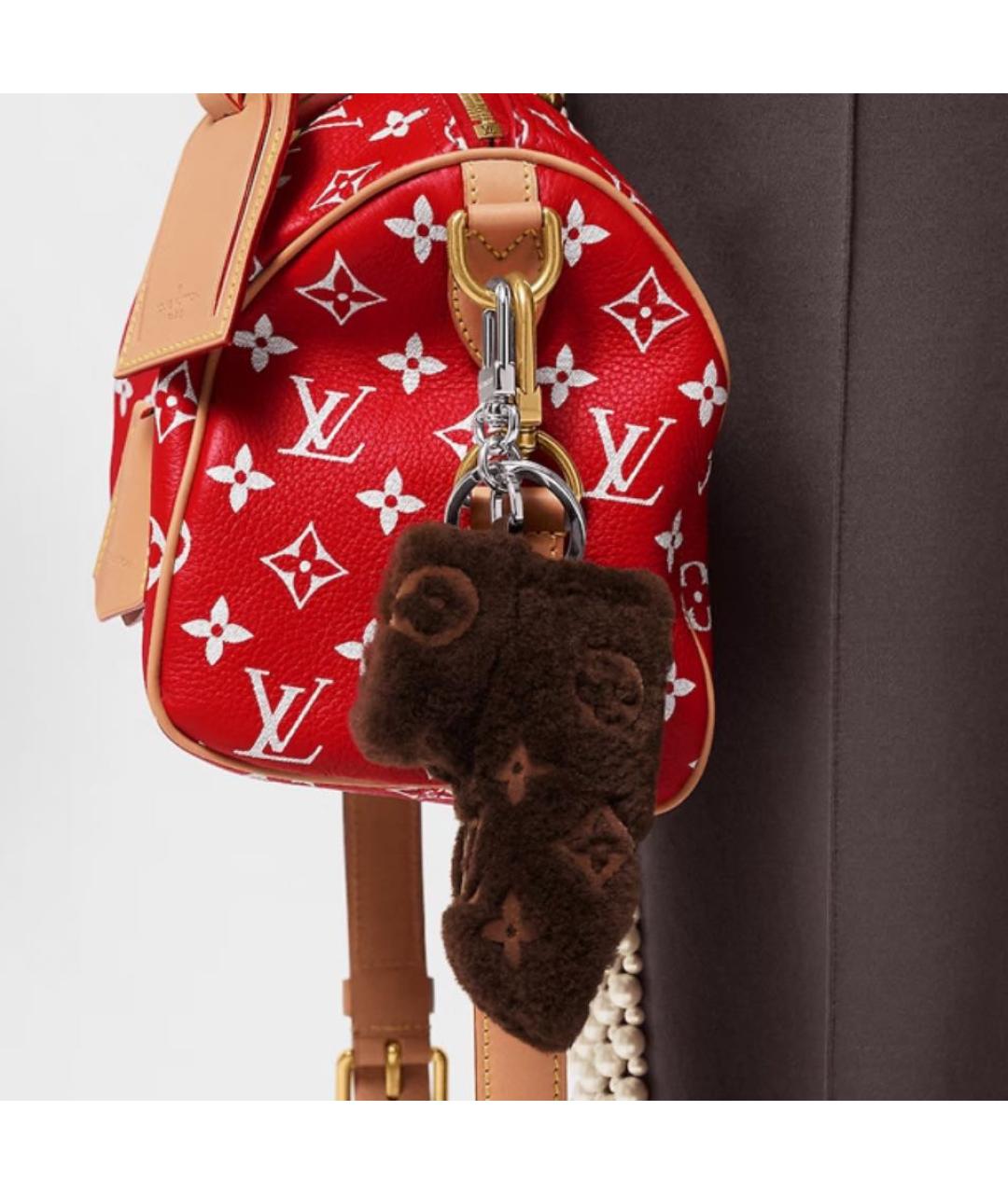 LOUIS VUITTON Коричневый брелок, фото 4