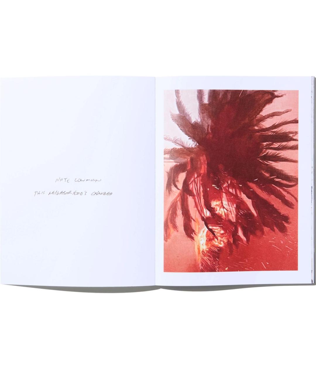 SUPREME Книга, фото 2