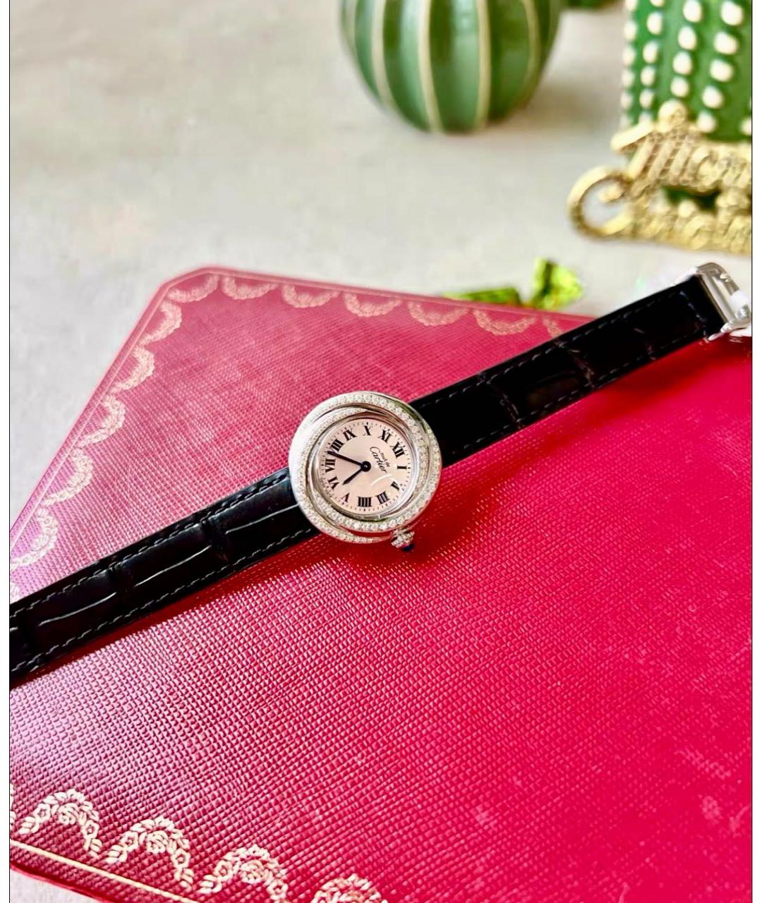 CARTIER Серебряные серебряные часы, фото 6