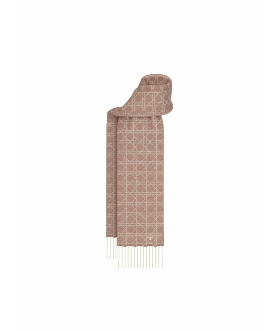 CHRISTIAN DIOR Розовый кашемировый шарф, фото 1