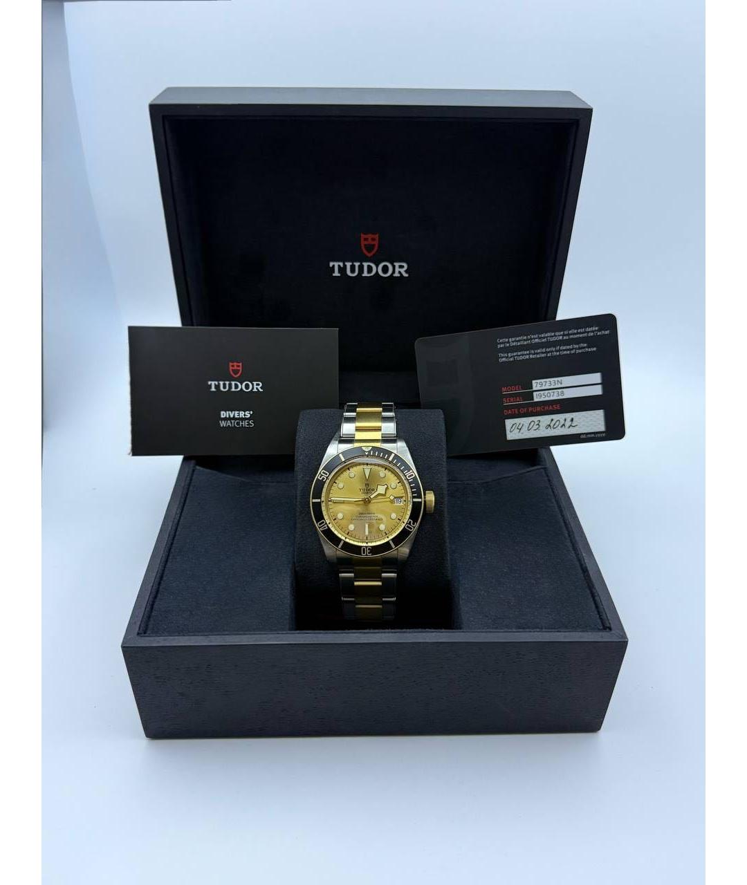 TUDOR Мульти часы из желтого золота, фото 7