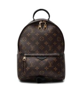 LOUIS VUITTON Рюкзак