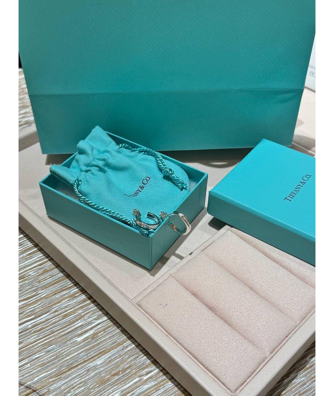 TIFFANY&CO Серебряные серебряные серьги, фото 3