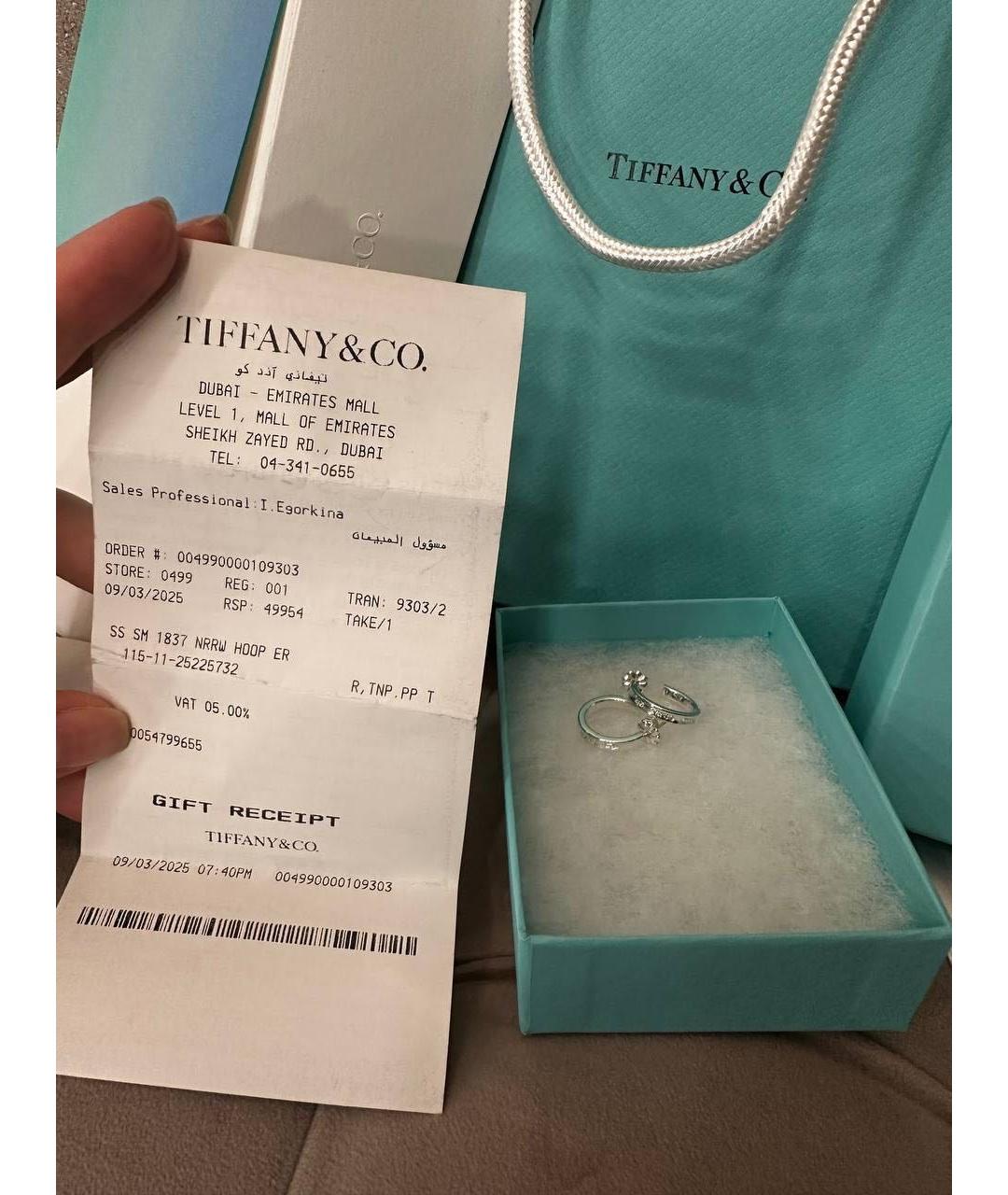 TIFFANY&CO Серебряные серебряные серьги, фото 6