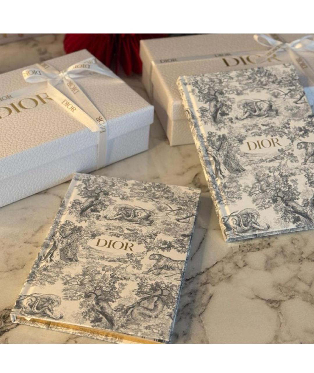 CHRISTIAN DIOR Книга, фото 4