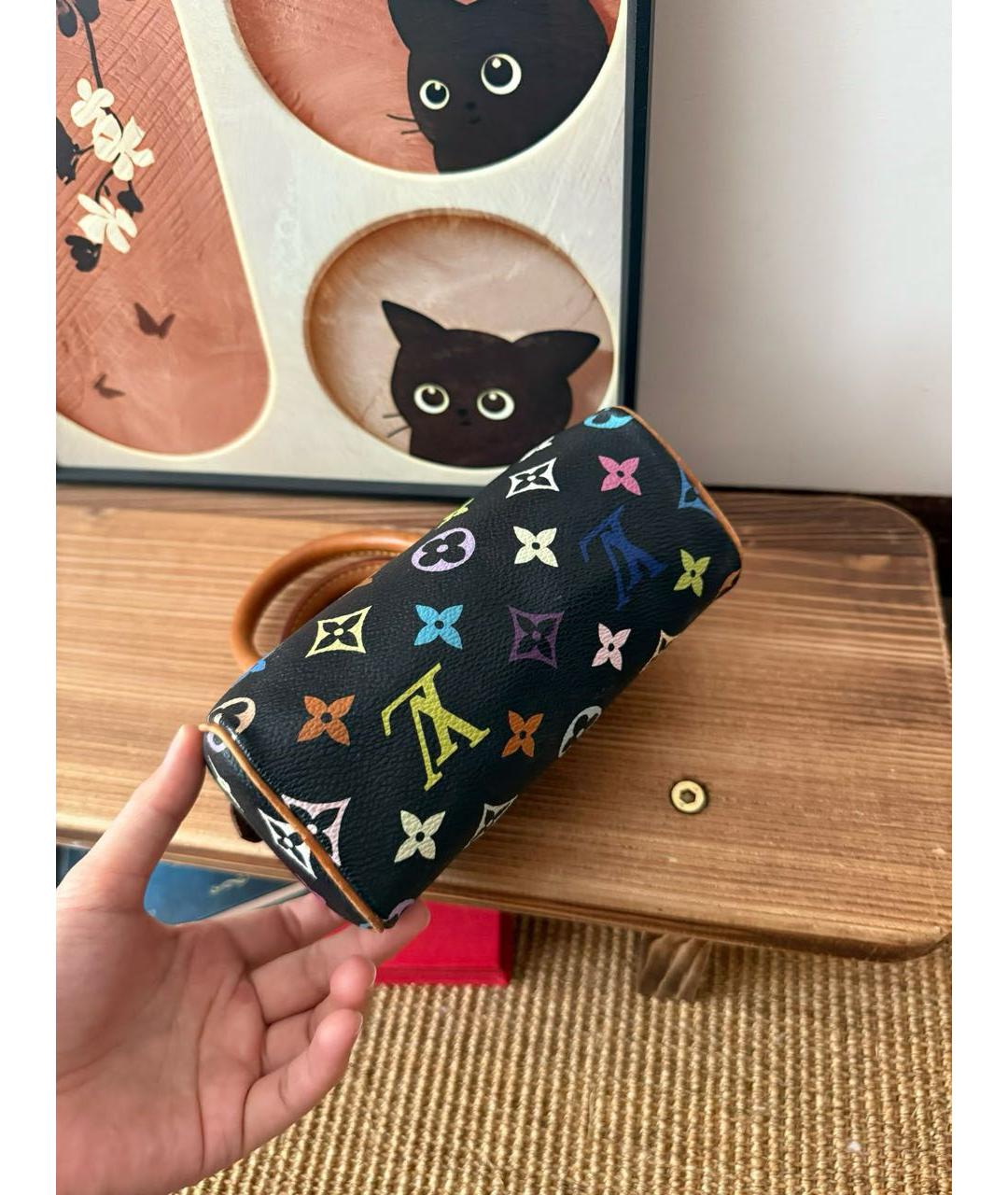 LOUIS VUITTON Мульти сумка с короткими ручками, фото 7