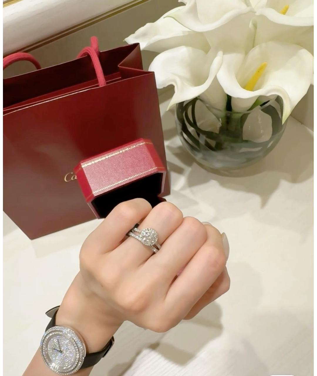 CARTIER Серебряное кольцо из белого золота, фото 8