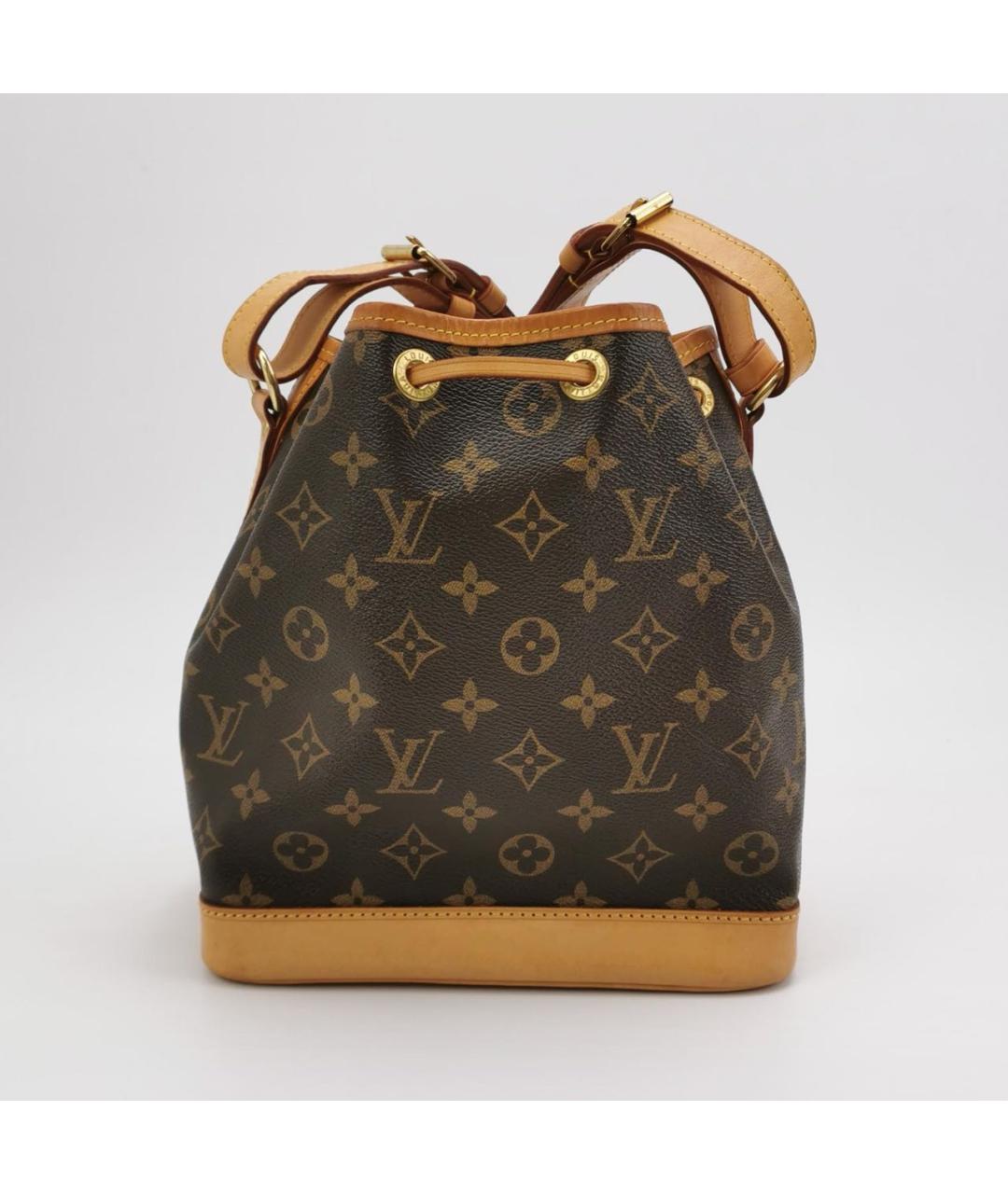 LOUIS VUITTON Коричневая сумка тоут, фото 5